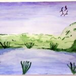 birds-and-the-winsford-flashes